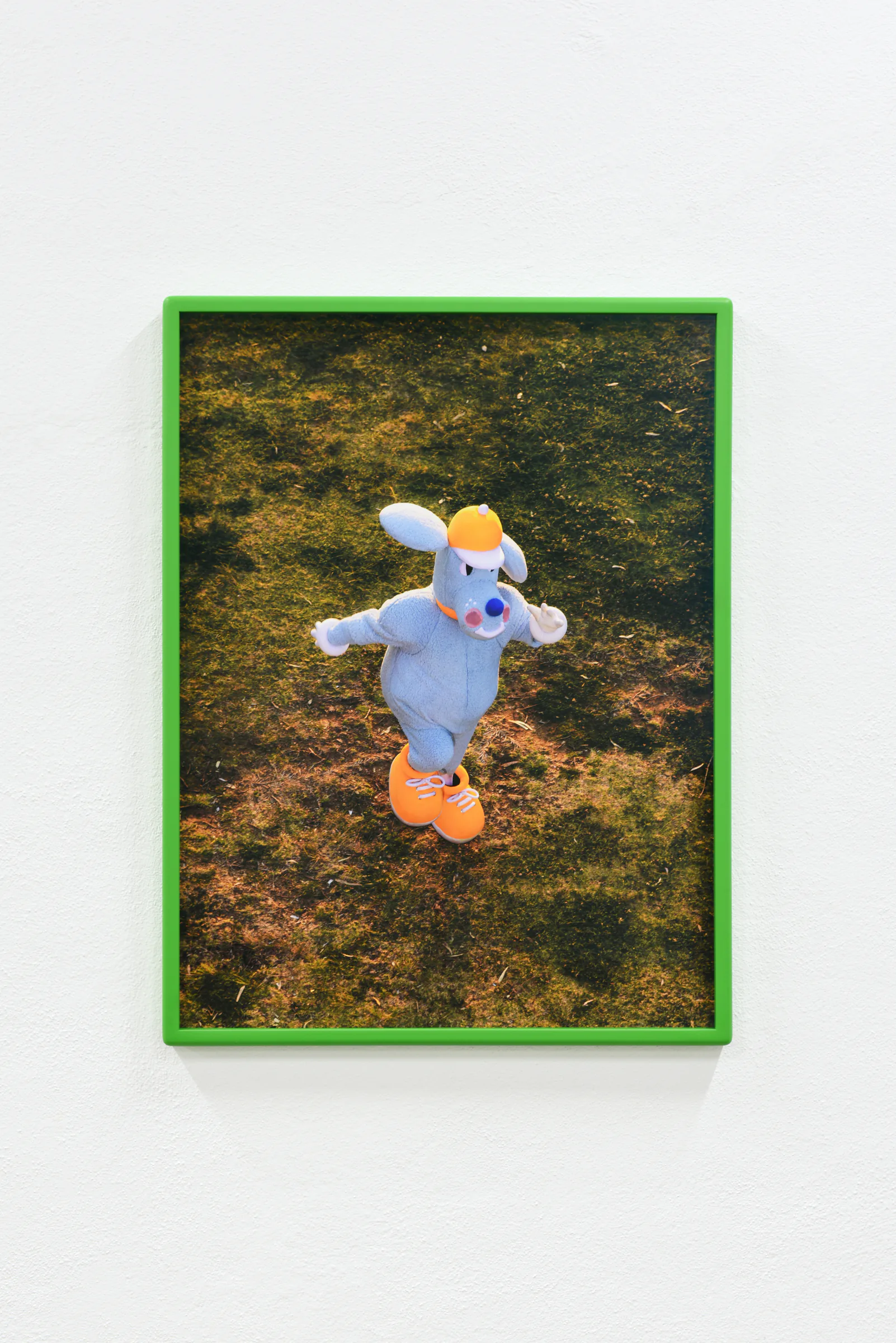 Framed photograph of the mascot in a field, with a vivid green frame