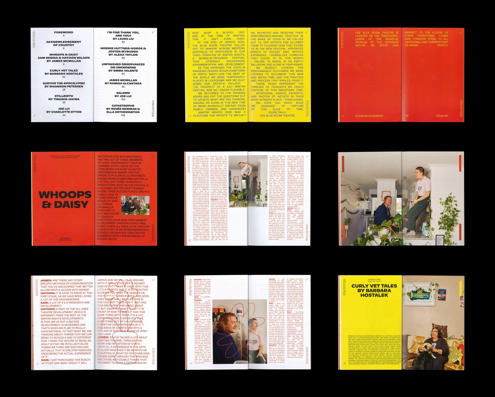 Winter in the Wings publication covers and spreads, pairing artist portraits with interviews and writing